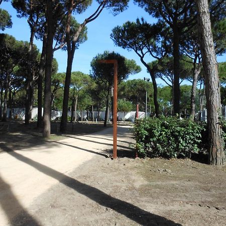 Albatross Mobile Homes On Camping Waikiki Lido di Jesolo Exteriör bild